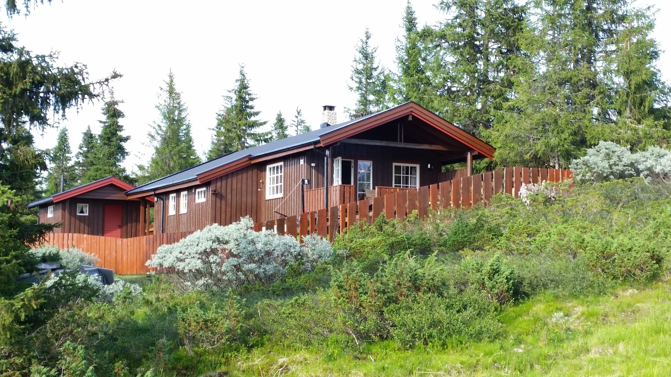 20140726_174645 20140726_174645